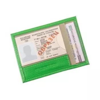 Обложка для автодокументов, цвет зелёный