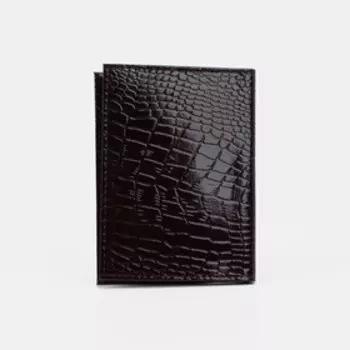 Обложка для автодокументов, цвет коричневый