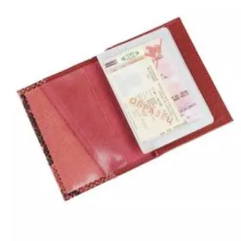 Обложка для автодокументов и паспорта, цвет красный