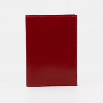 Обложка для автодокументов, с вкладышем, цвет красный