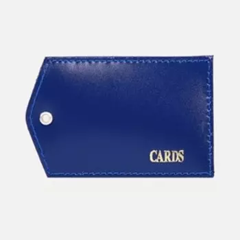 Обложка для бейджа/пропуска, цвет МИКС