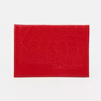 Обложка для паспорта, цвет алый