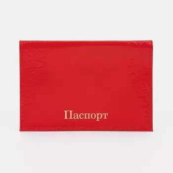 Обложка для паспорта, цвет алый
