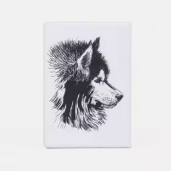 Обложка для паспорта, цвет белый