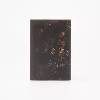 Обложка для паспорта, цвет чёрный