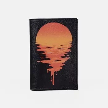 Обложка для паспорта, цвет чёрный