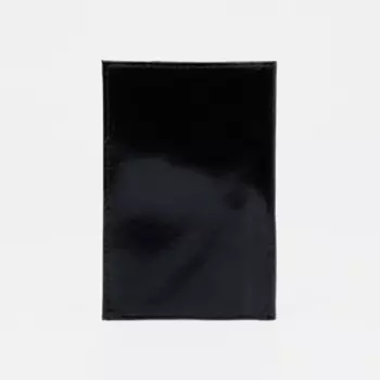 Обложка для паспорта, цвет чёрный