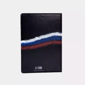 Обложка для паспорта, цвет чёрный/триколор