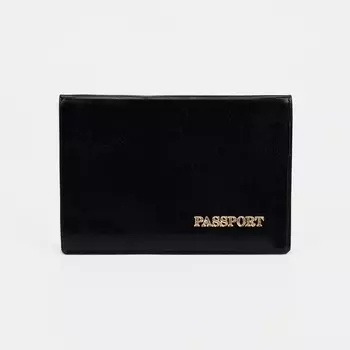 Обложка для паспорта, цвет чёрный