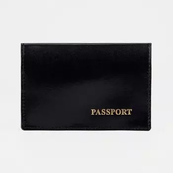 Обложка для паспорта, цвет чёрный