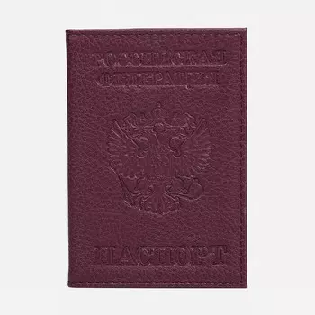 Обложка для паспорта, цвет чёрный