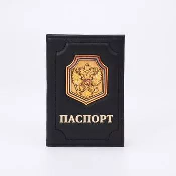 Обложка для паспорта, цвет чёрный