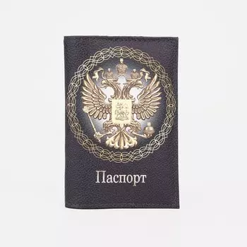 Обложка для паспорта, цвет чёрный