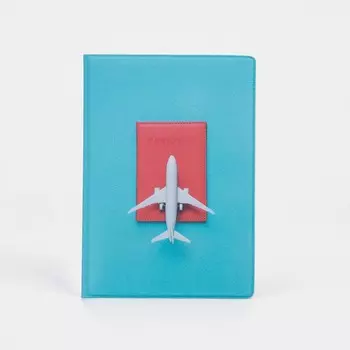 Обложка для паспорта, цвет голубой