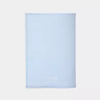Обложка для паспорта, цвет голубой