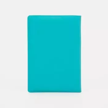 Обложка для паспорта, цвет голубой