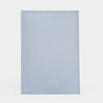 Обложка для паспорта, цвет голубой