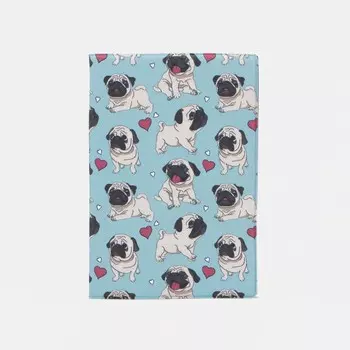 Обложка для паспорта, цвет голубой