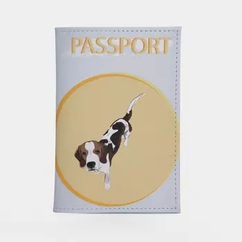 Обложка для паспорта, цвет голубой