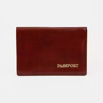 Обложка для паспорта, цвет коричневый