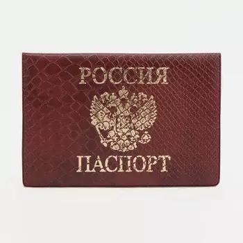 Обложка для паспорта, цвет красный