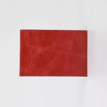 Обложка для паспорта, цвет красный