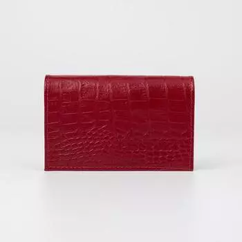 Обложка для паспорта, цвет красный