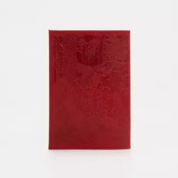 Обложка для паспорта, цвет красный