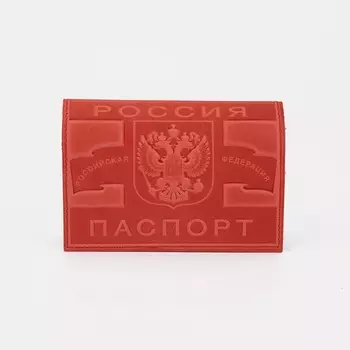 Обложка для паспорта, цвет красный