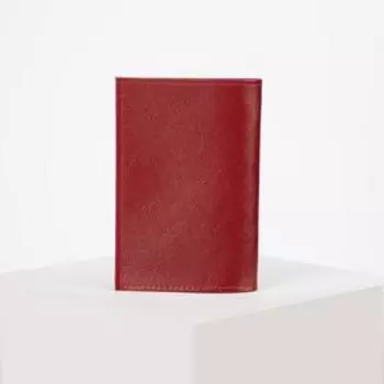 Обложка для паспорта, цвет красный