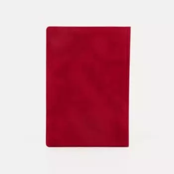 Обложка для паспорта, цвет красный