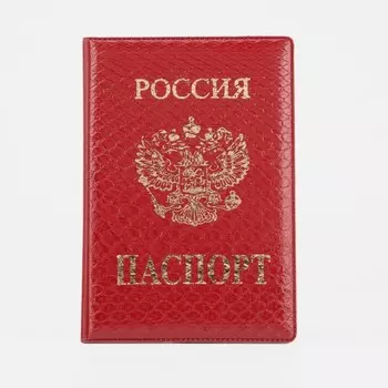 Обложка для паспорта, цвет красный