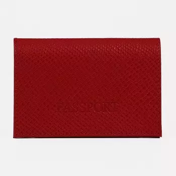 Обложка для паспорта, цвет красный