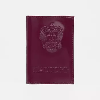 Обложка для паспорта, цвет лиловый