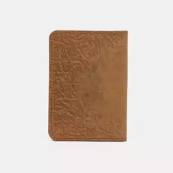 Обложка для паспорта, цвет МИКС