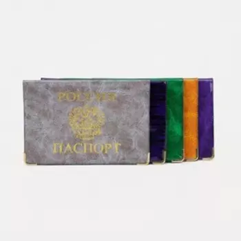 Обложка для паспорта, цвет МИКС