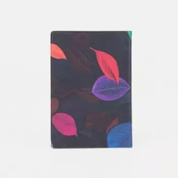 Обложка для паспорта, цвет разноцветный