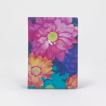 Обложка для паспорта, цвет разноцветный