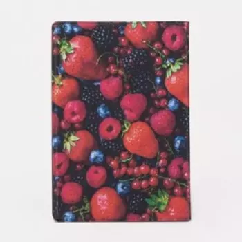 Обложка для паспорта, цвет красный/синий