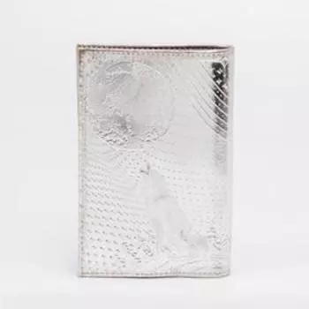 Обложка для паспорта, цвет серебряный