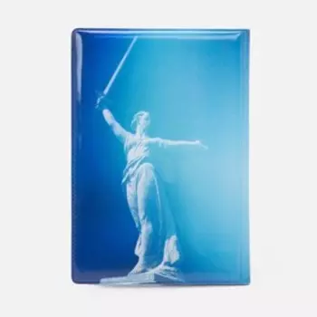 Обложка для паспорта, цвет голубой