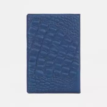 Обложка для паспорта, цвет синий