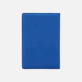 Обложка для паспорта, цвет синий