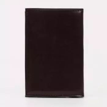 Обложка для паспорта, цвет сливовый