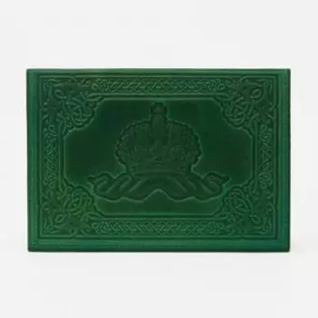 Обложка для паспорта, цвет зелёный