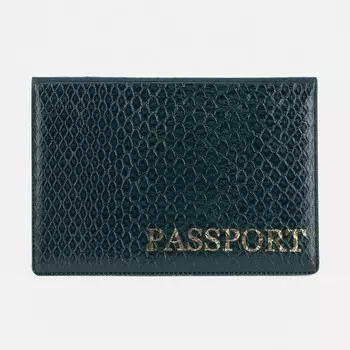 Обложка для паспорта, цвет зелёный