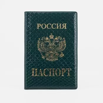 Обложка для паспорта, цвет зелёный