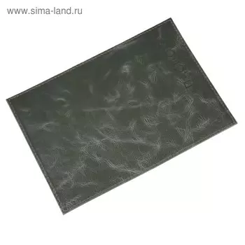 Обложка для паспорта, цвет зелёный