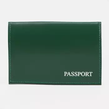 Обложка для паспорта, цвет зелёный