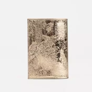 Обложка для паспорта, цвет золото